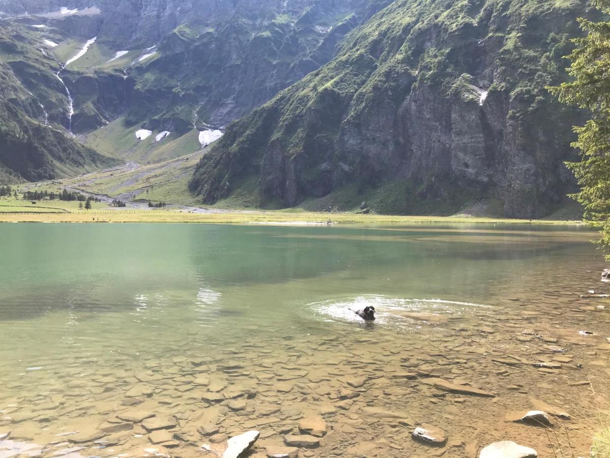 Ferienwohnung Wildkogelblick Bramberg am Wildkogel Dış mekan fotoğraf